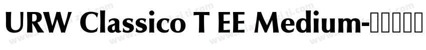URW Classico T EE Medium字体转换